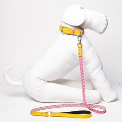YELLOW & PINK BRAID-LEASH