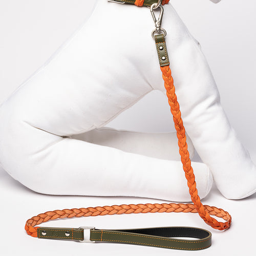 GREEN & ORANGE BRAID-LEASH