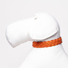 GREEN & ORANGE BRAID-COLLAR
