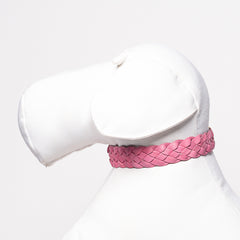 YELLOW & PINK BRAID-COLLAR