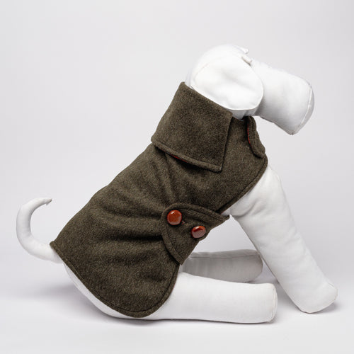 DANDY LODEN