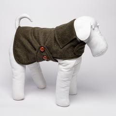 DANDY LODEN