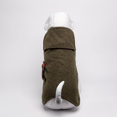 DANDY LODEN