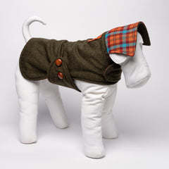 DANDY LODEN