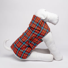 DANDY LODEN