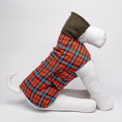 DANDY LODEN