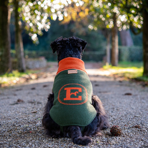 GREEN & ORANGE LOGO
