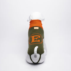 GREEN & ORANGE LOGO