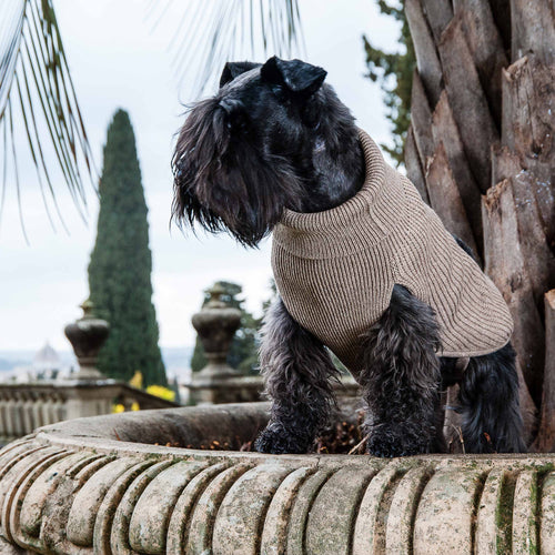 NATURAL RIB-CASHMERE