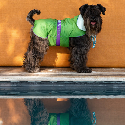 MEADOW RAINCOAT