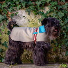 STITCH COAT