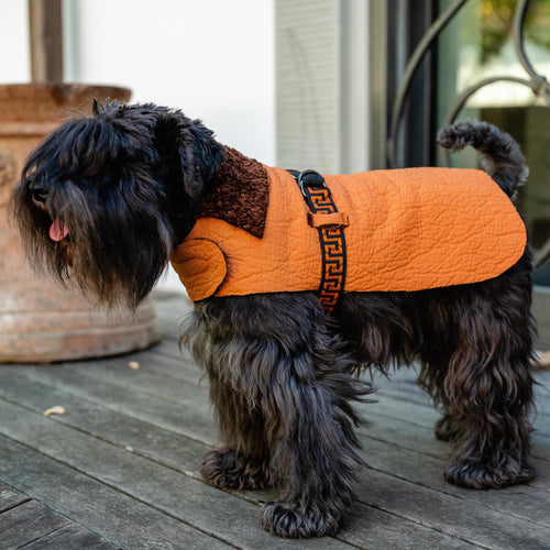 ORANGE GREEK-MOTIF