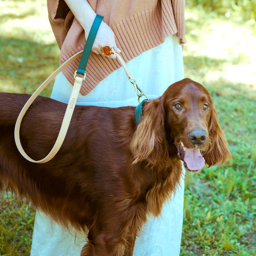 GREEN SAFFIANO-LEASH