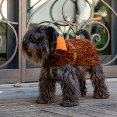 ORANGE GREEK-MOTIF