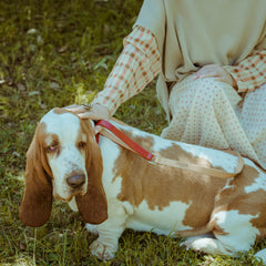 RED SAFFIANO-LEASH