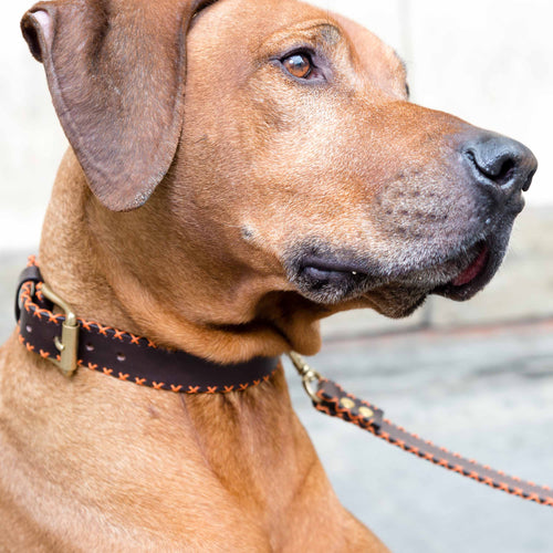 ORANGE CROSS-COLLAR