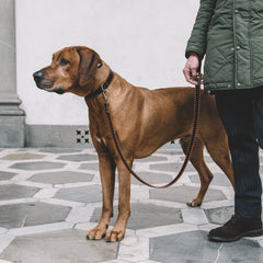ORANGE CROSS-LEASH