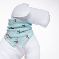 PALE BLUE - CLOUD