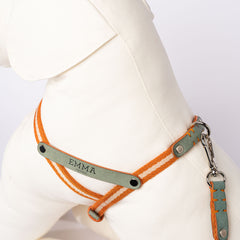 NUBUCK CELESTIAL-HARNESS