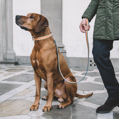SKY BLUE CROSS-LEASH